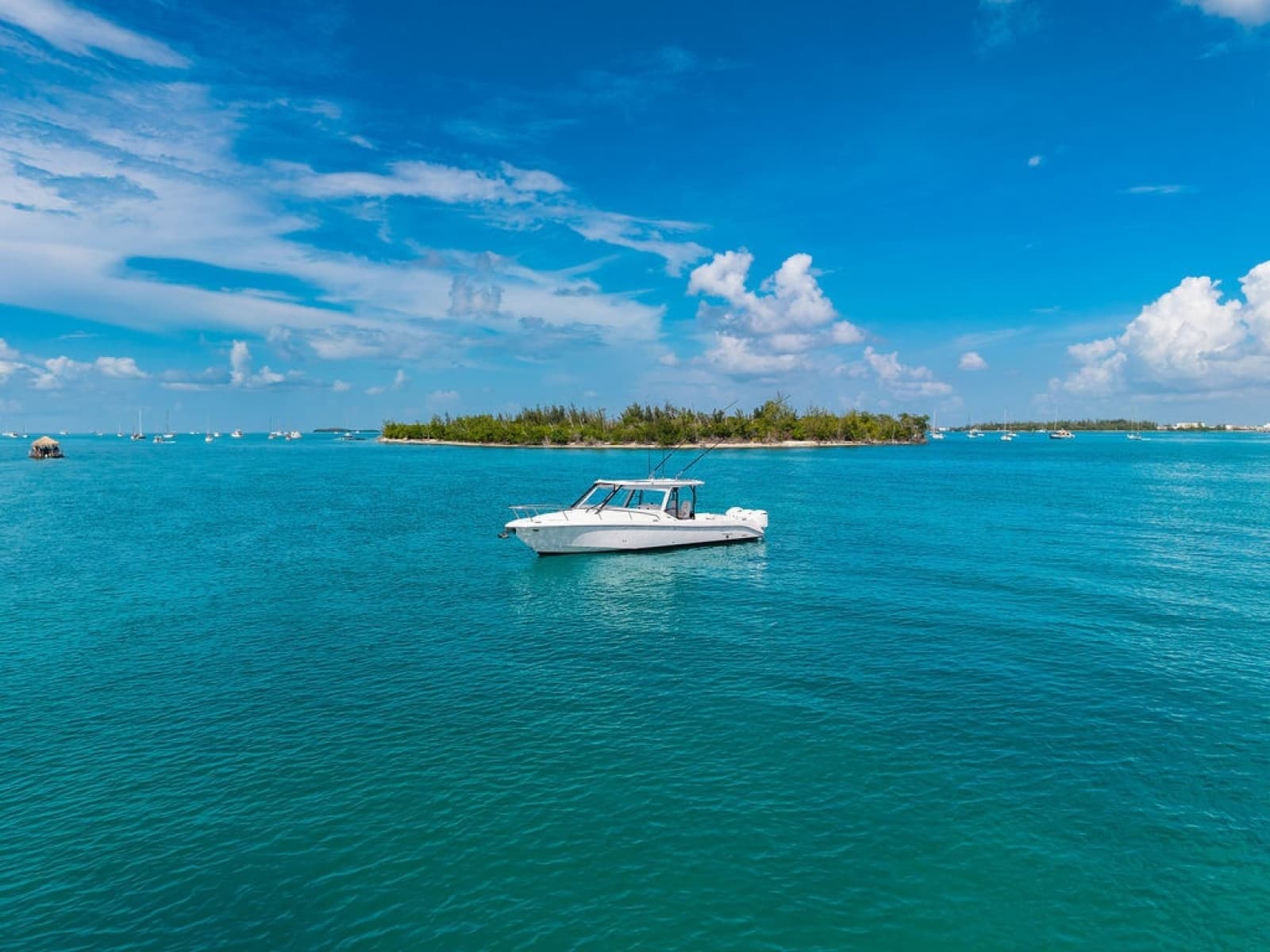 2019 Everglades  - Photo 15