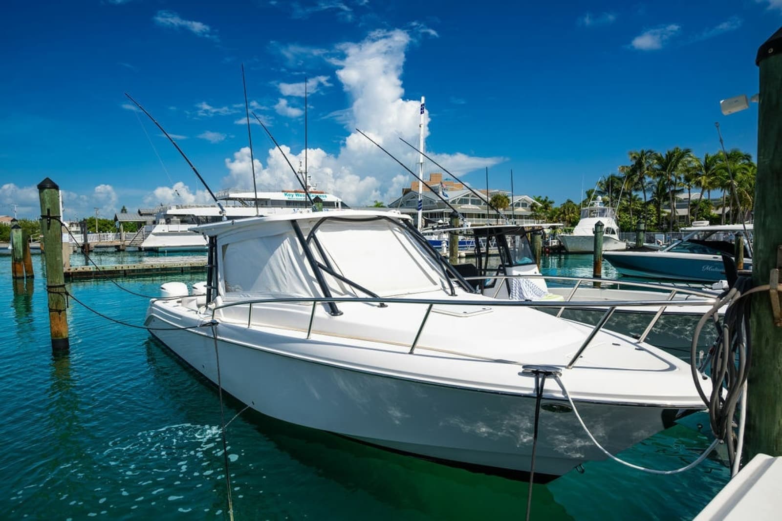 2019 Everglades  - Photo 24