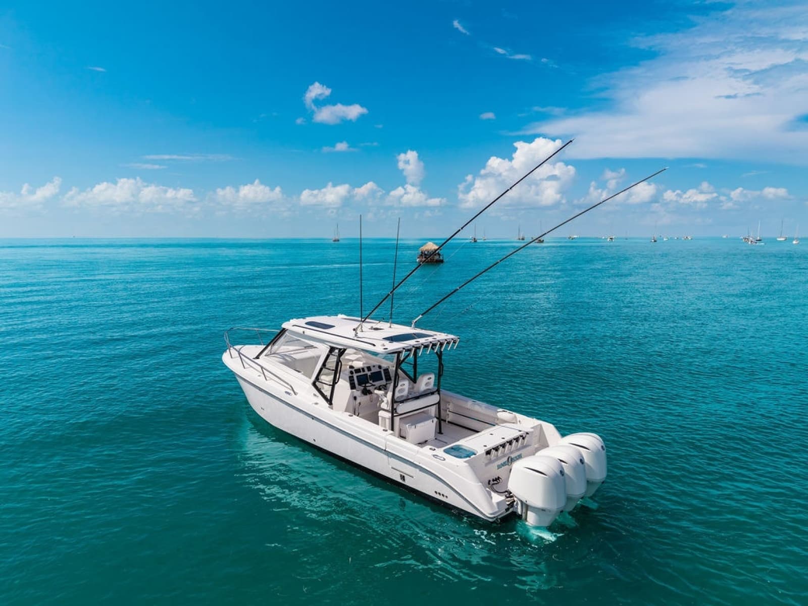 2019 Everglades  - Photo 10