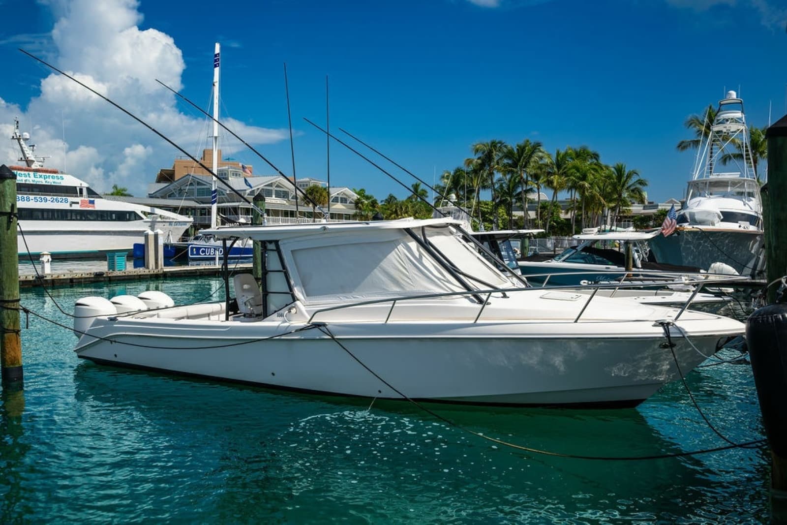 2019 Everglades  - Photo 25