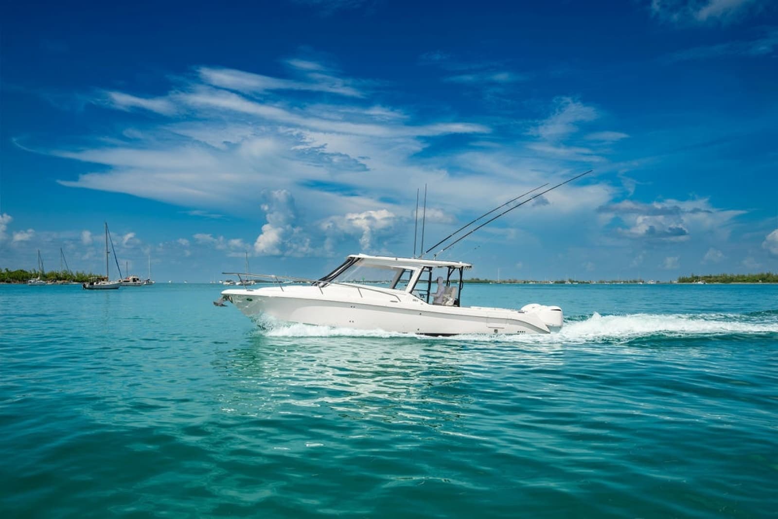 2019 Everglades  - Photo 38