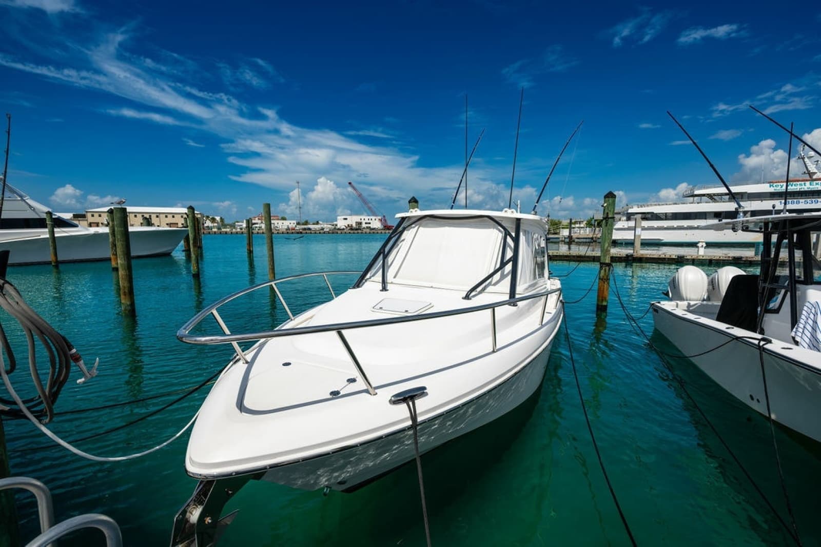 2019 Everglades  - Photo 23
