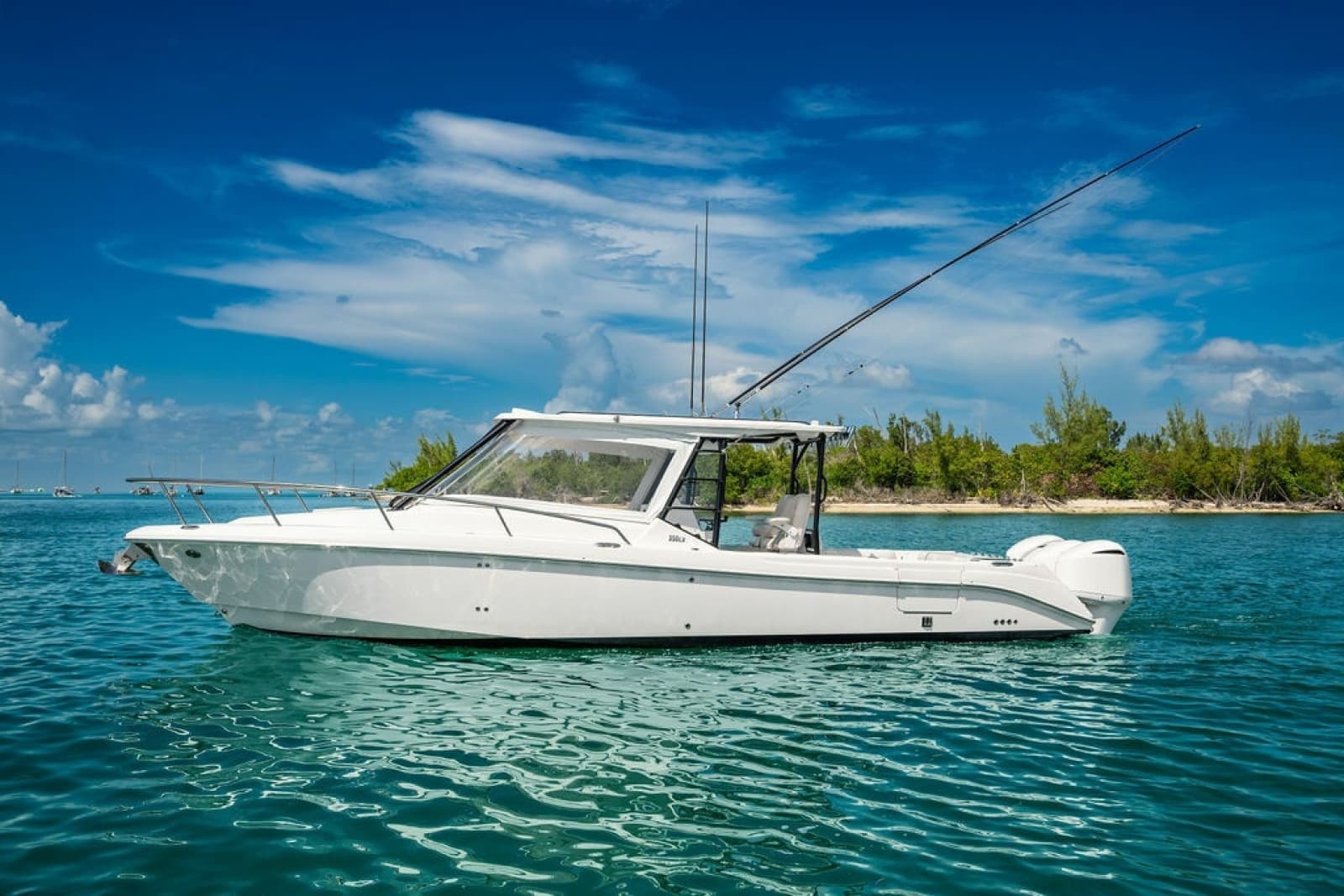 2019 Everglades  - Photo 42