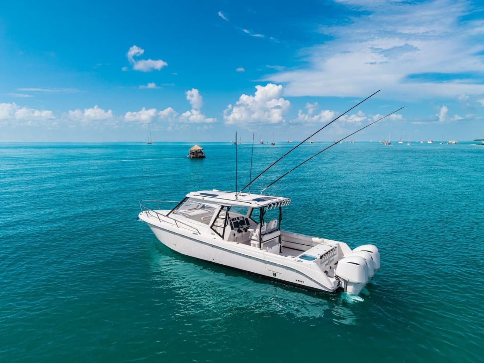 2019 Everglades  - Photo 9