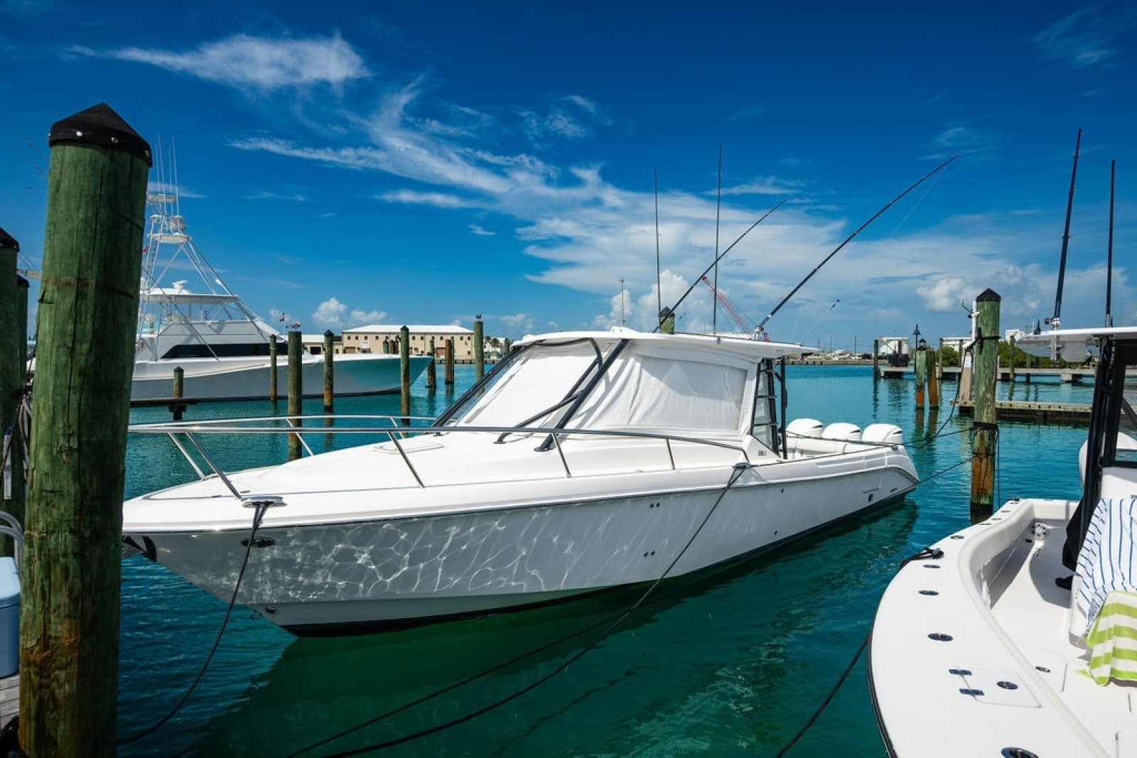 2019 Everglades  - Photo 22