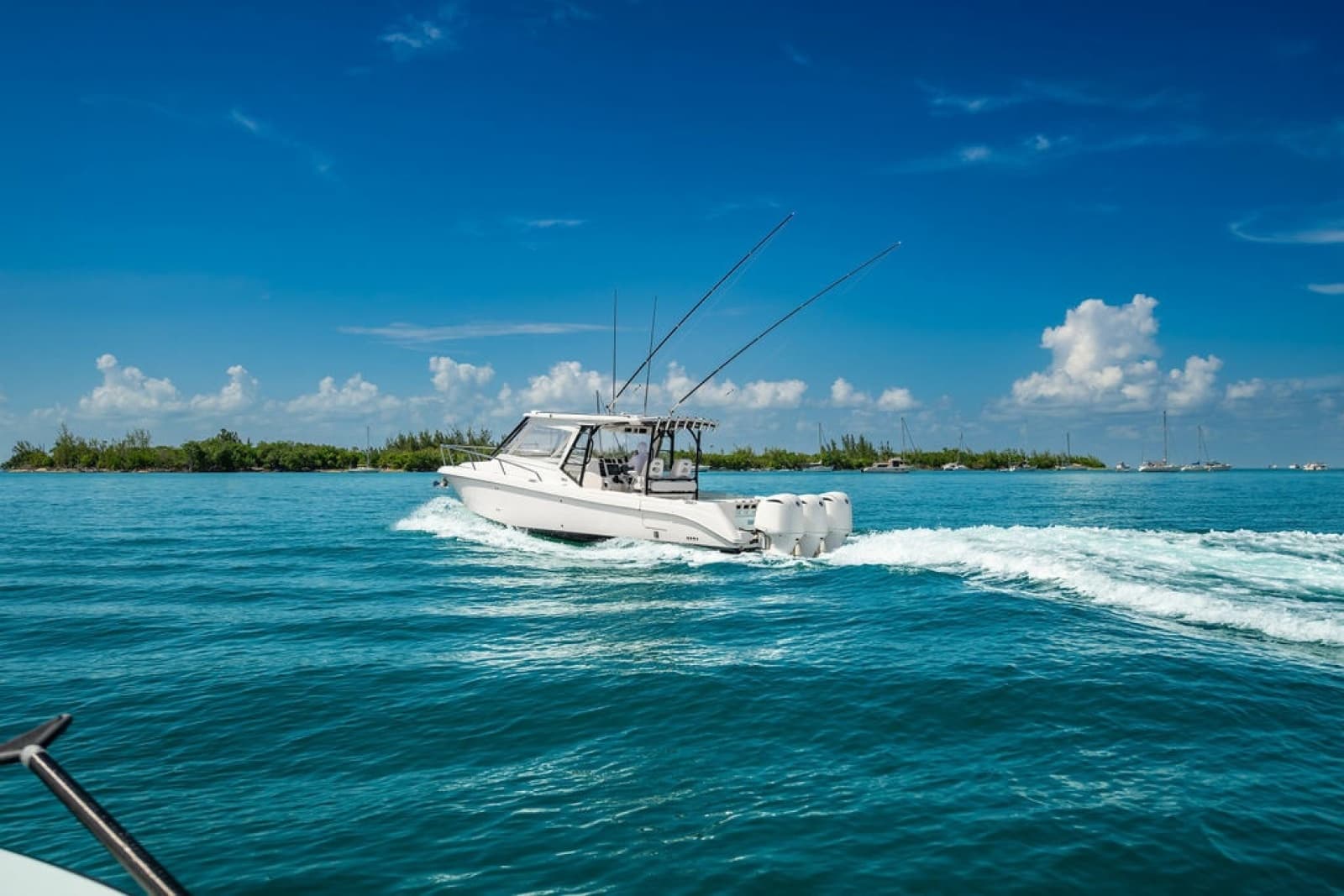 2019 Everglades  - Photo 35