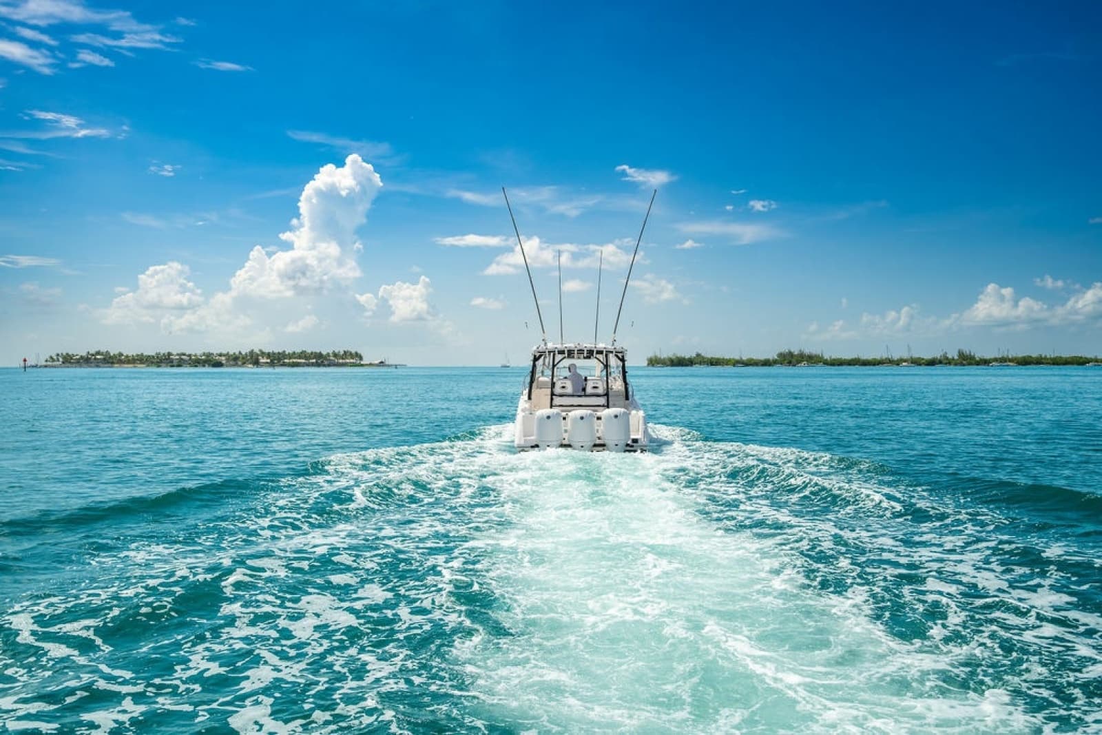 2019 Everglades  - Photo 30