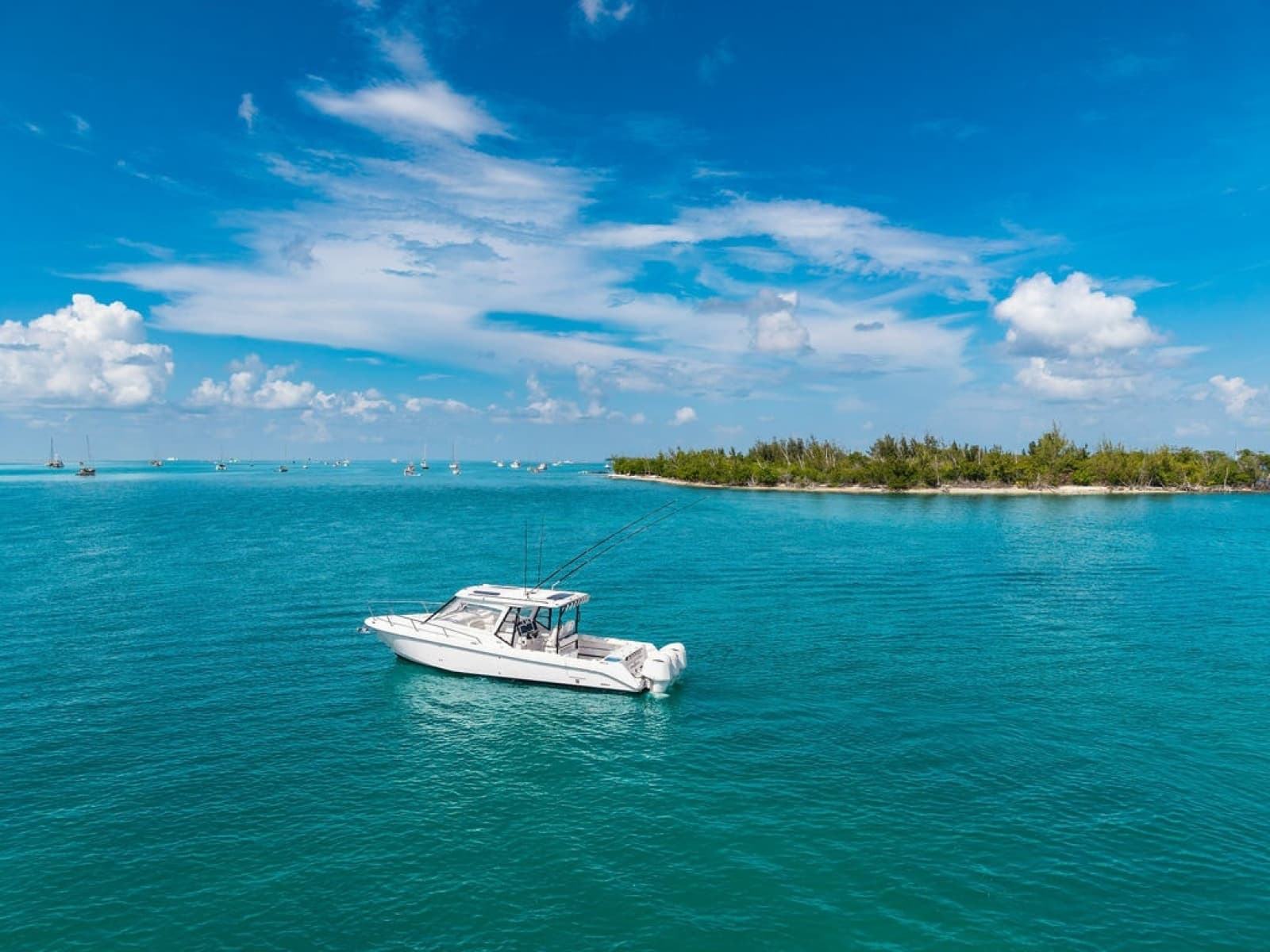 2019 Everglades  - Photo 2