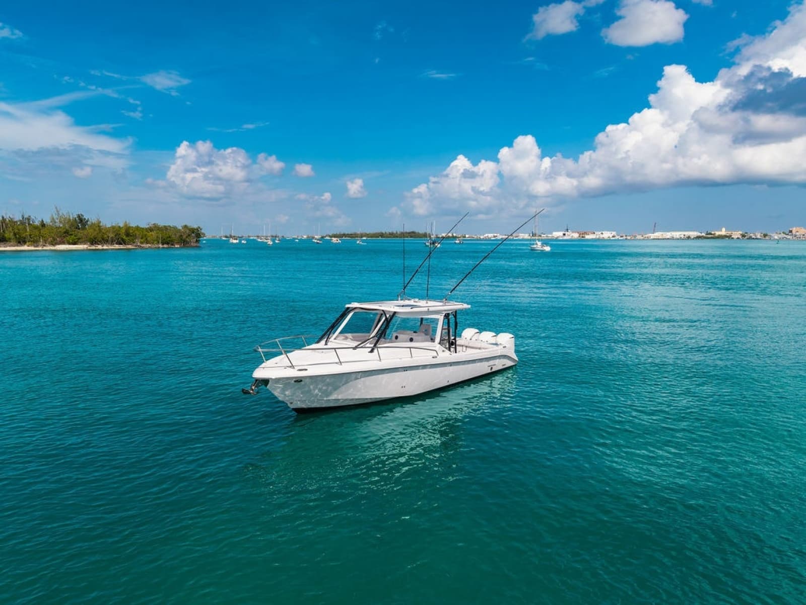 2019 Everglades  - Photo 21