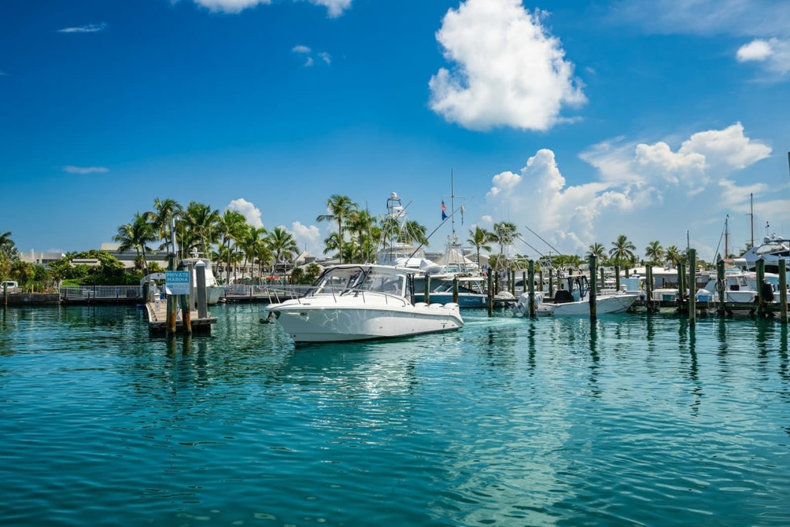 2019 Everglades  - Photo 29