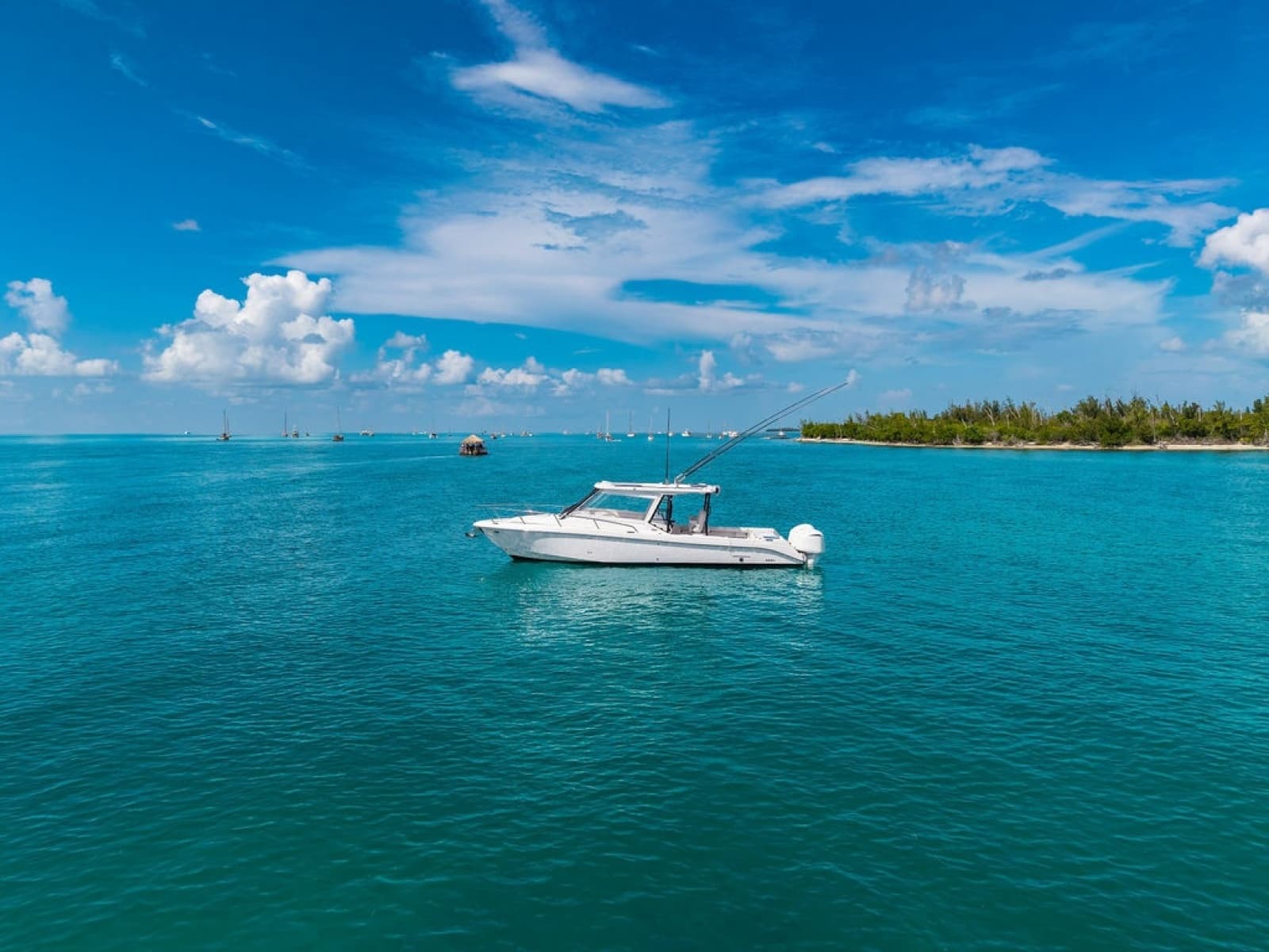 2019 Everglades  - Photo 13