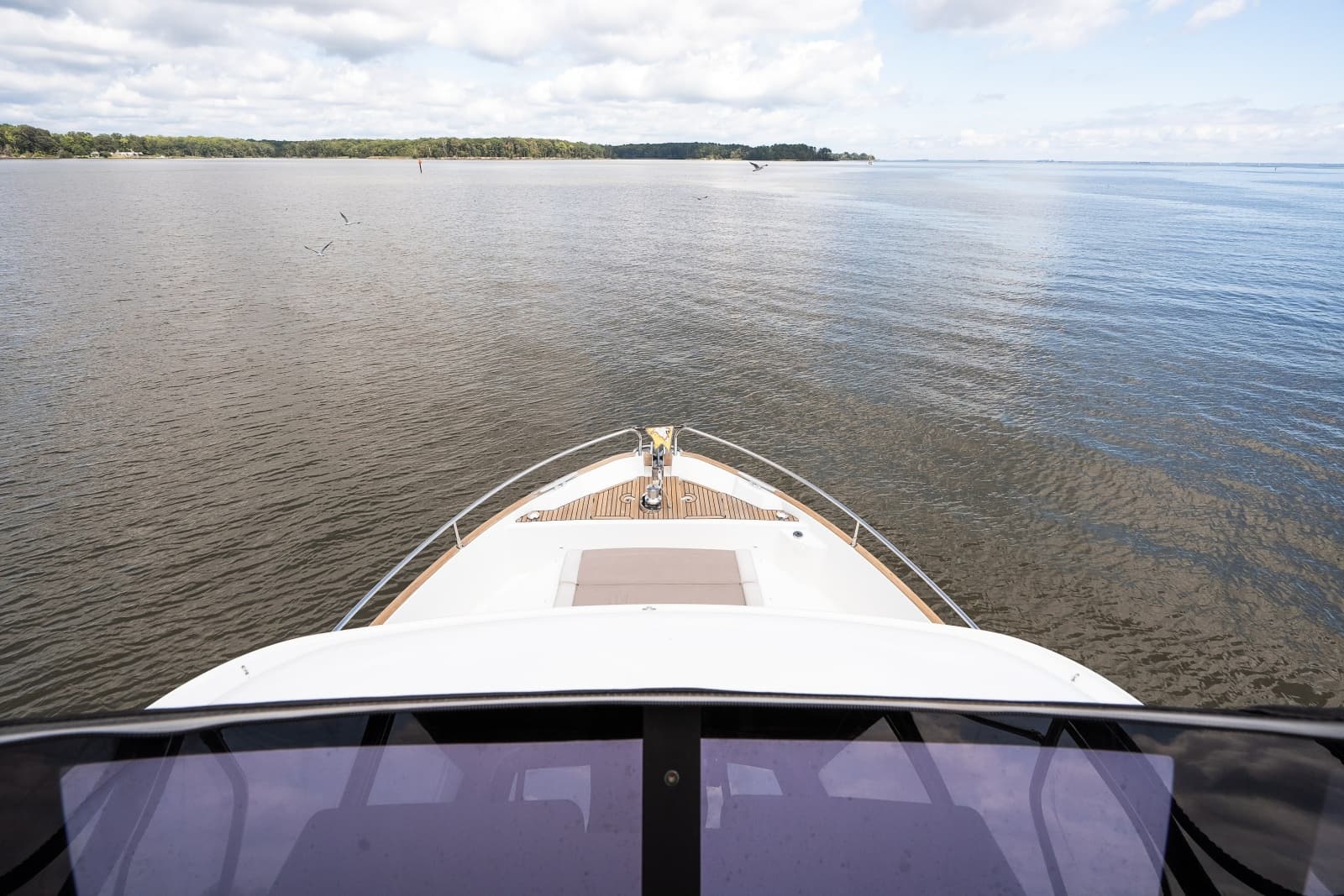 2020 Beneteau Swift Trawler 50 - Photo 31