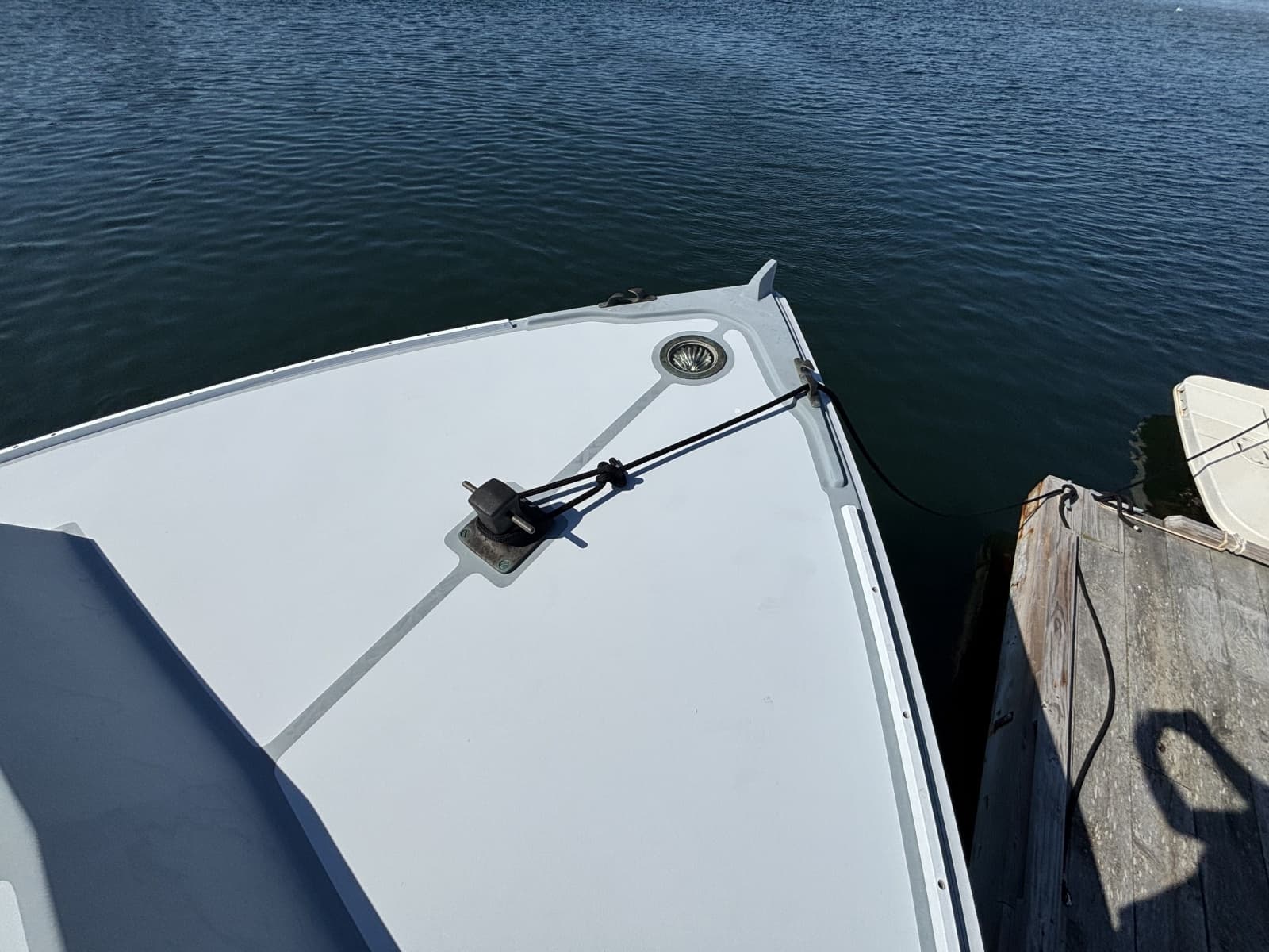 2015 Holland  - Photo 29