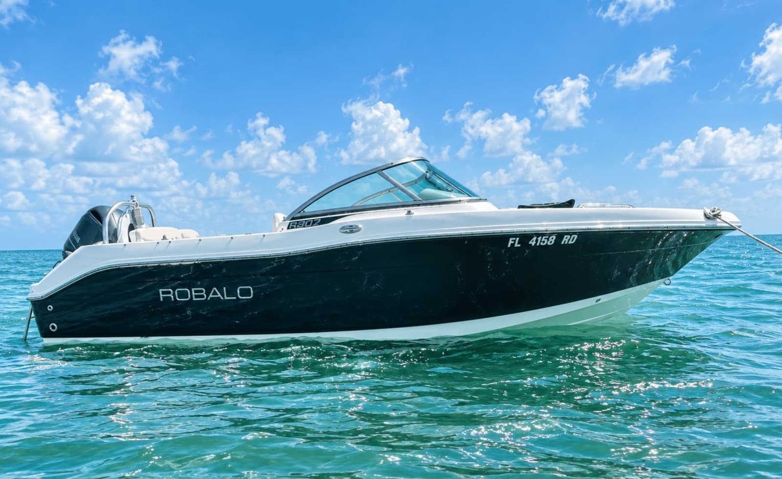 2016 Robalo R207 - Photo 2