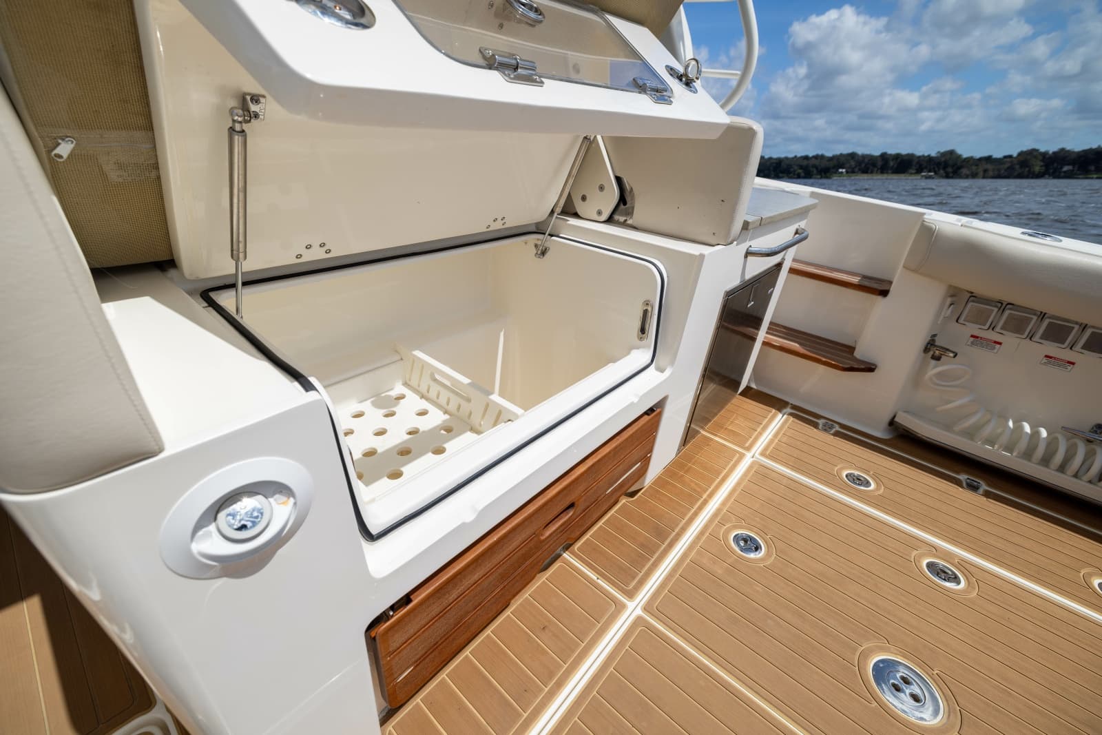 2021 Boston Whaler Realm - Photo 42