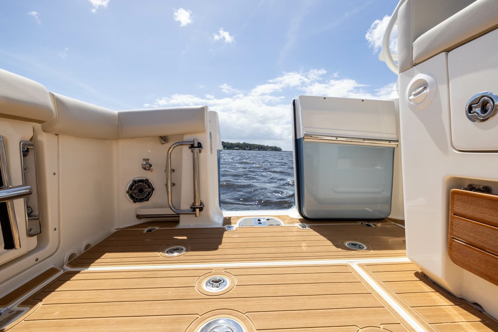 2021 Boston Whaler Realm - Photo 50