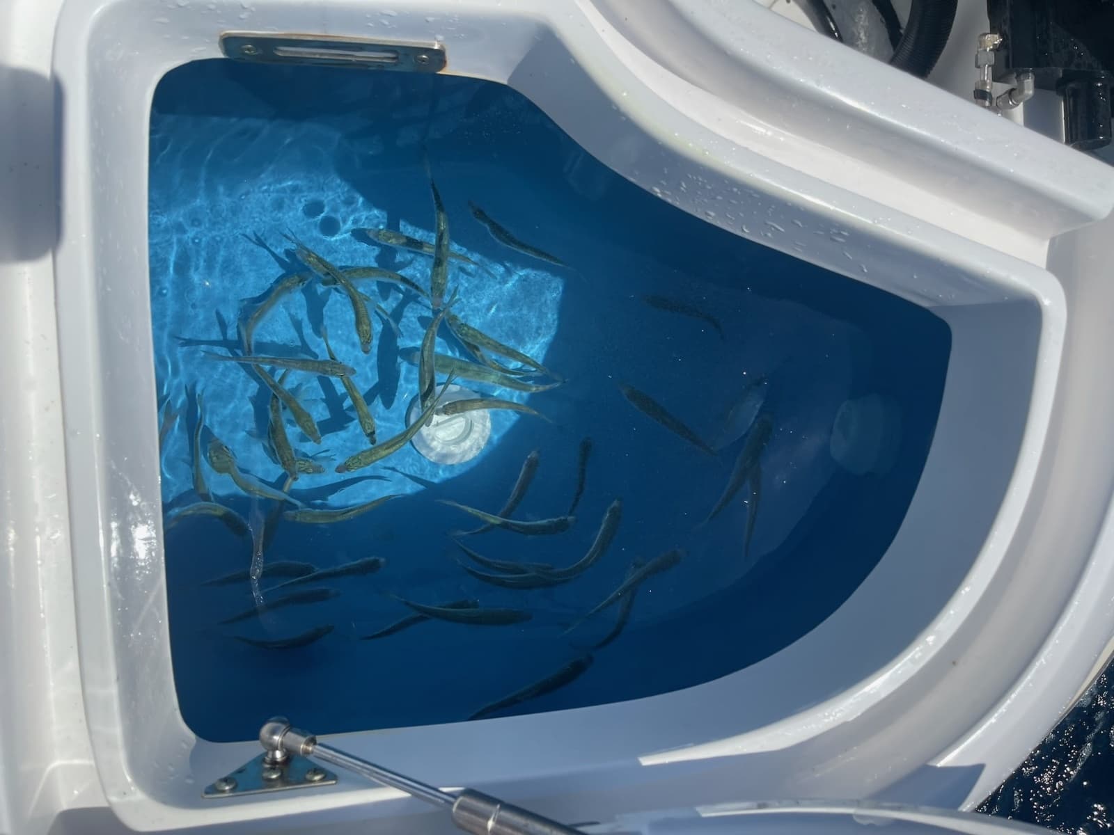 2020 Intrepid 407 Panacea - Photo 4