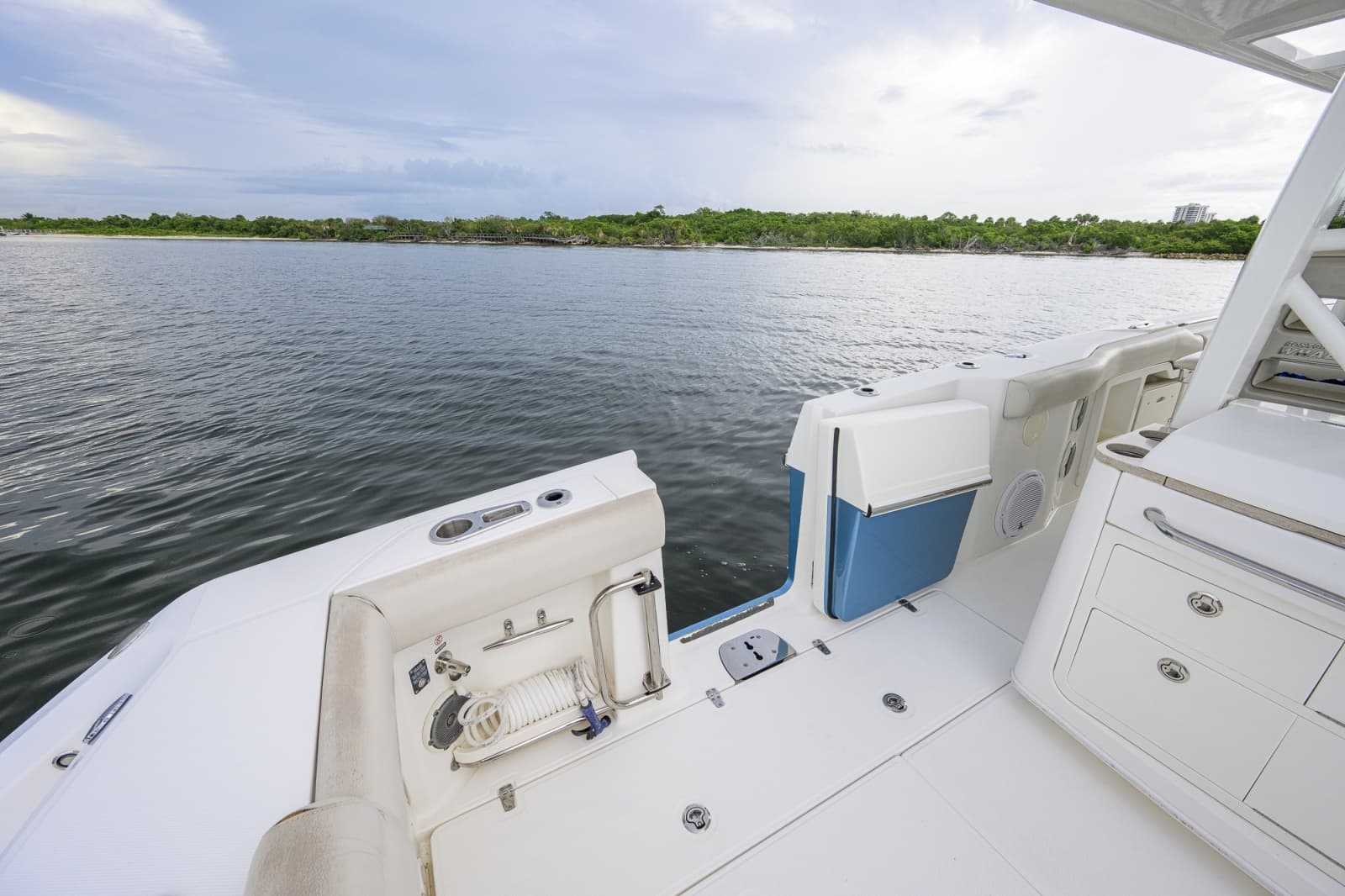 2018 Boston Whaler 380 Outrage - Photo 30
