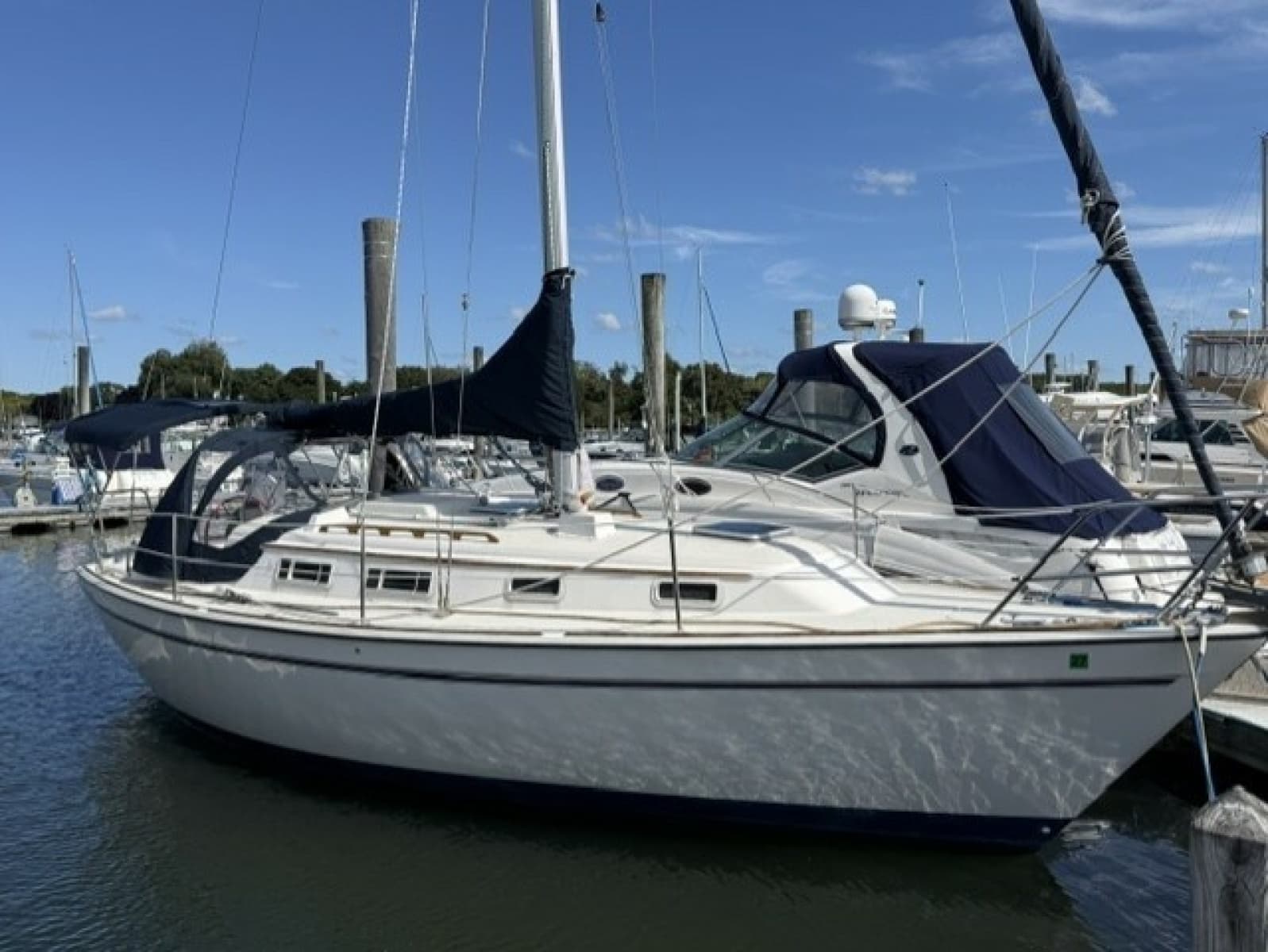 1986 Pearson 303 - Photo 1