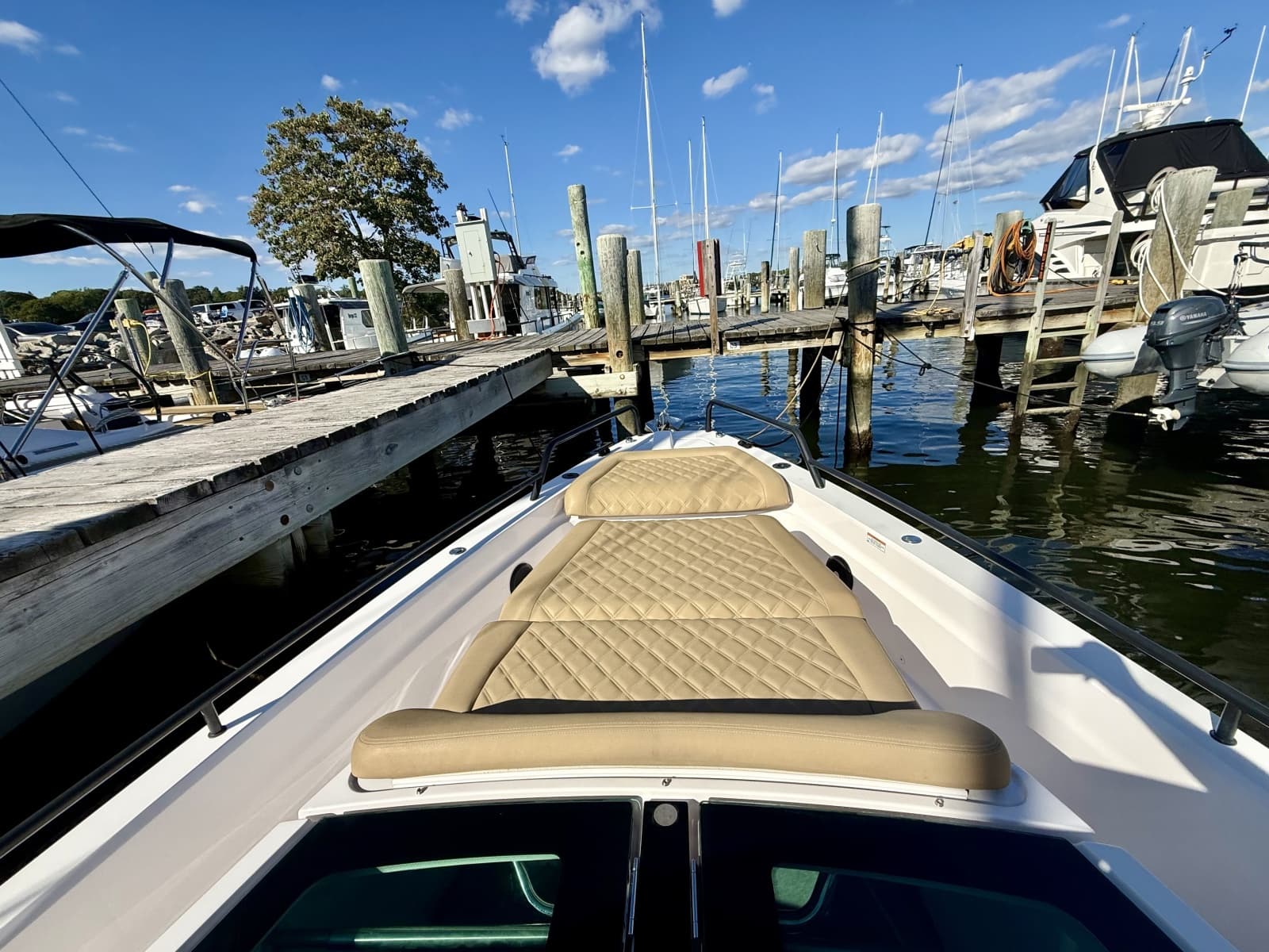 2021 Axopar 37 XC Cross Cabin - Photo 11