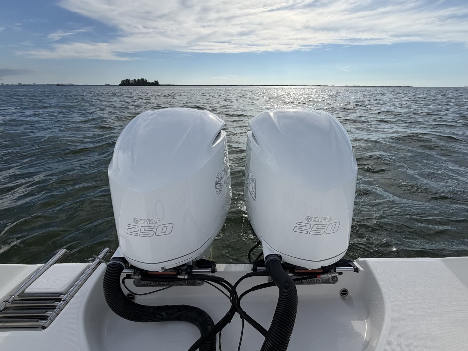 2020 Edgewater 262CC - Photo 9