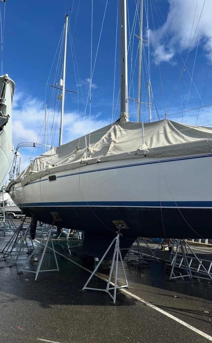 2005 Catalina 36 Mkll - Photo 33