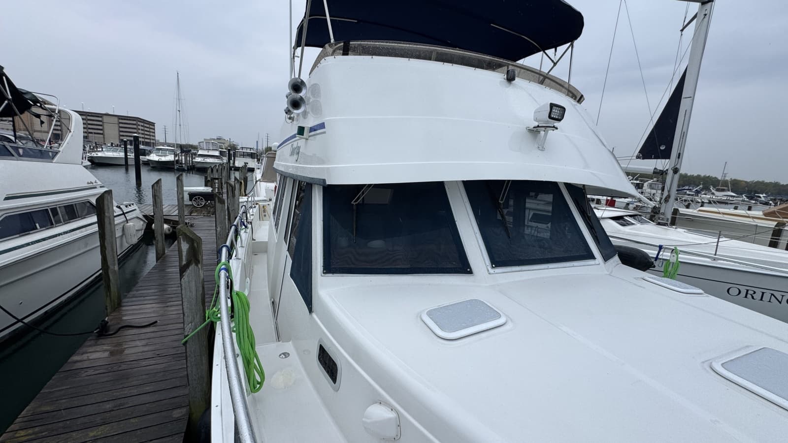 2001 Mainship 43 Trawler Aft Cabin - Photo 4