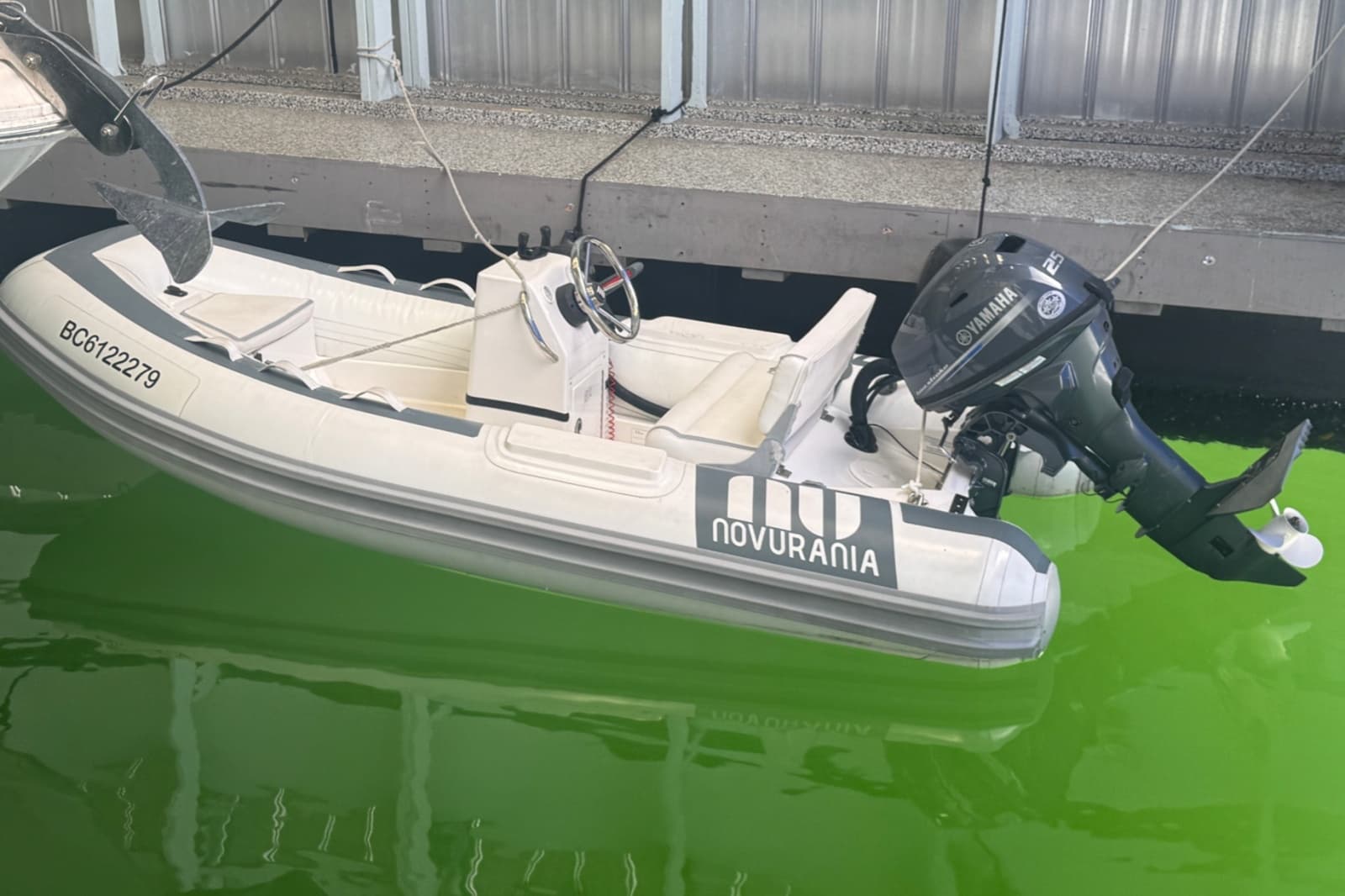 2016 Novurania 335DL - Photo 5