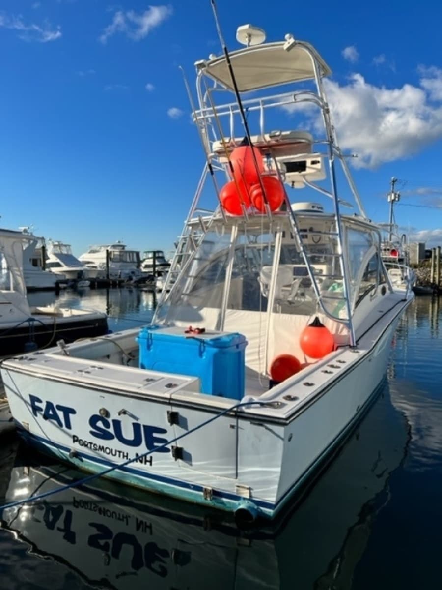 2000 Albemarle 305 Express Fisherman - Photo 4