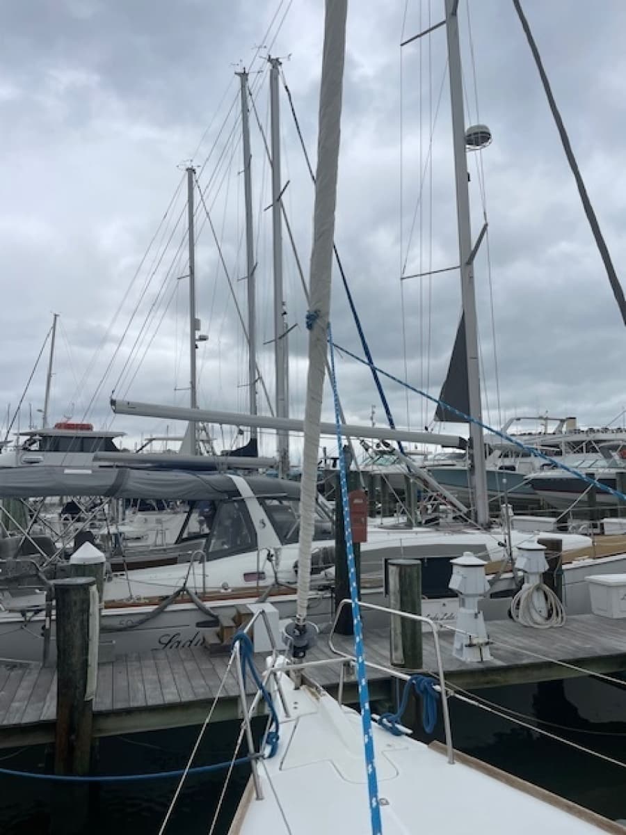 2017 Jeanneau 389 - Photo 21