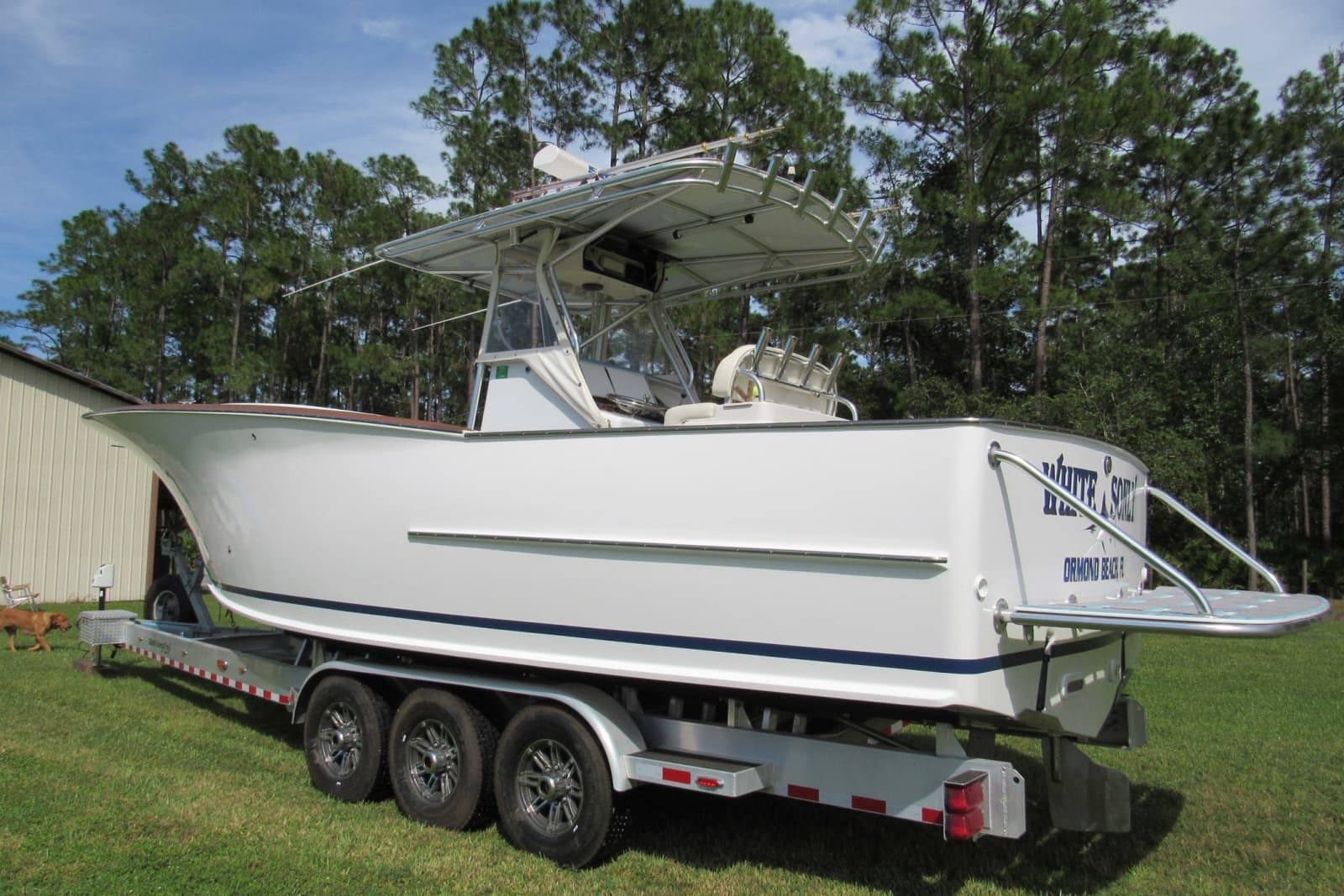 2003 Custom Carolina 31 Grice - Photo 6
