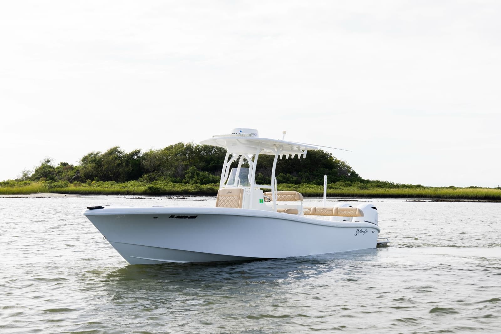 2017 Yellowfin Hybrid - Photo 7