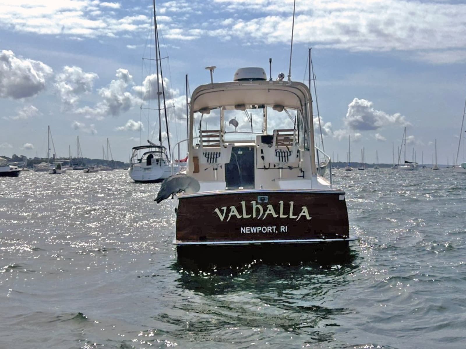 2000 Legacy Yachts 28 Express - Photo 5