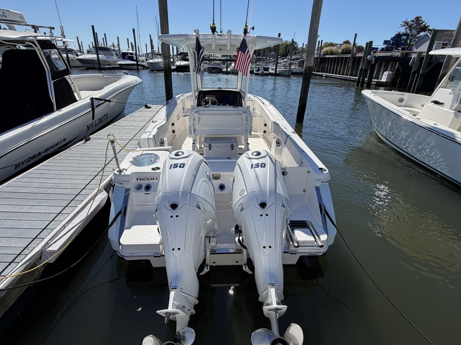 2025 Robalo R250 - Photo 4