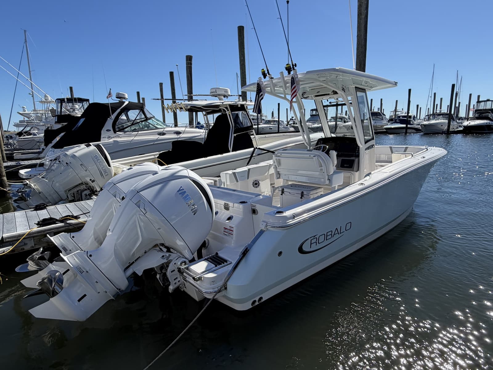2025 Robalo R250 - Photo 2