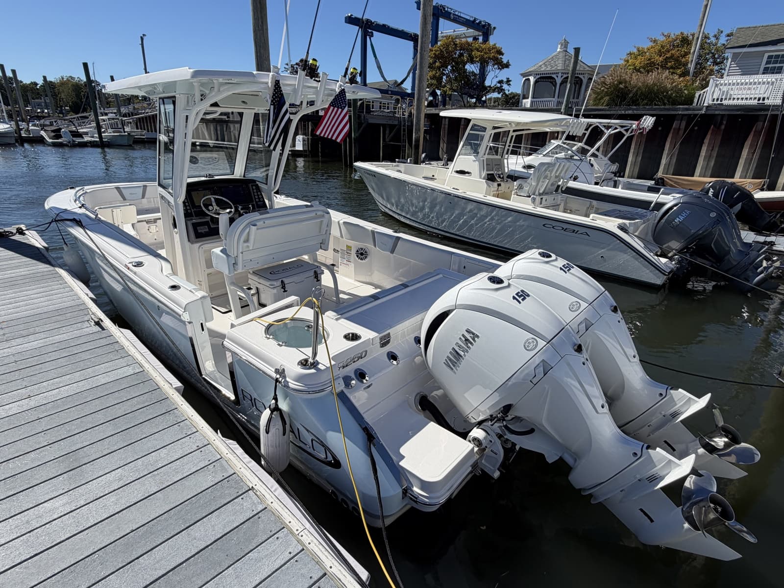 2025 Robalo R250 - Photo 5