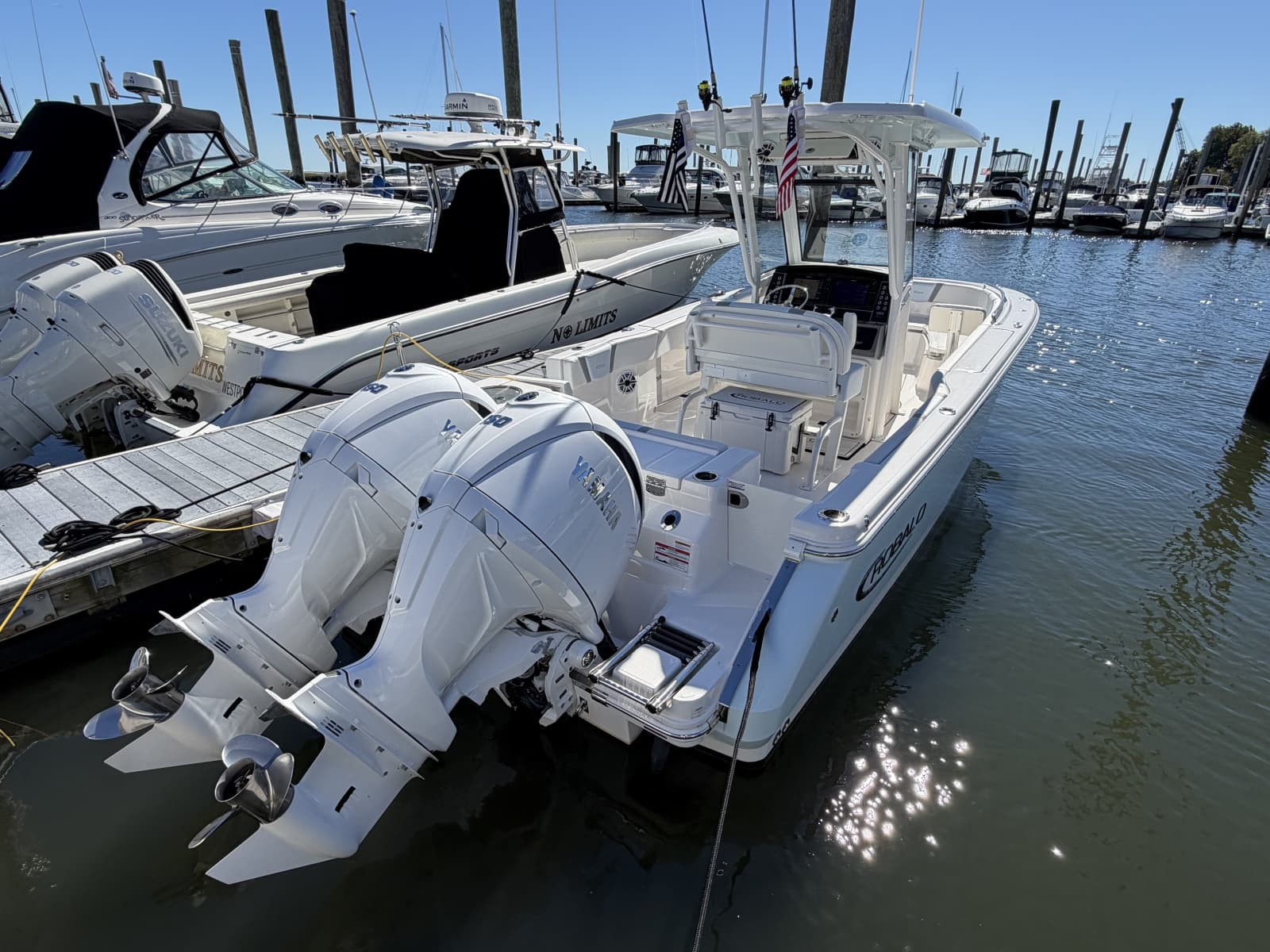2025 Robalo R250 - Photo 3