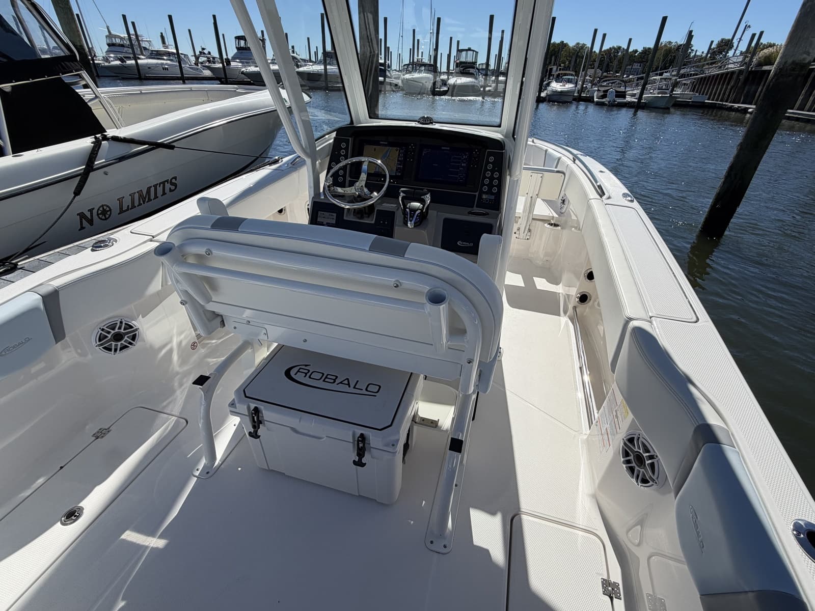 2025 Robalo R250 - Photo 7