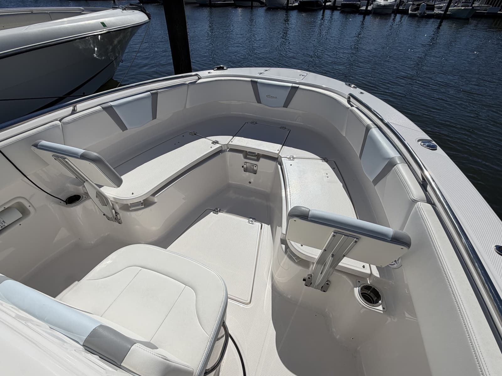 2025 Robalo R250 - Photo 11
