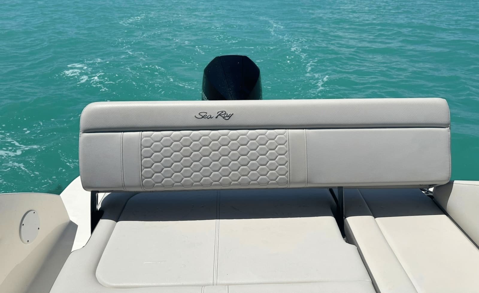 2021 Sea Ray 250SDX - Photo 19