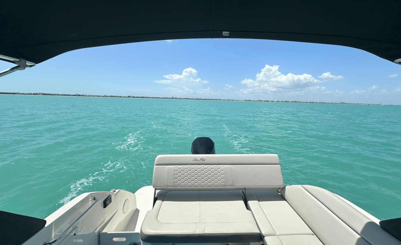 2021 Sea Ray 250SDX - Photo 20
