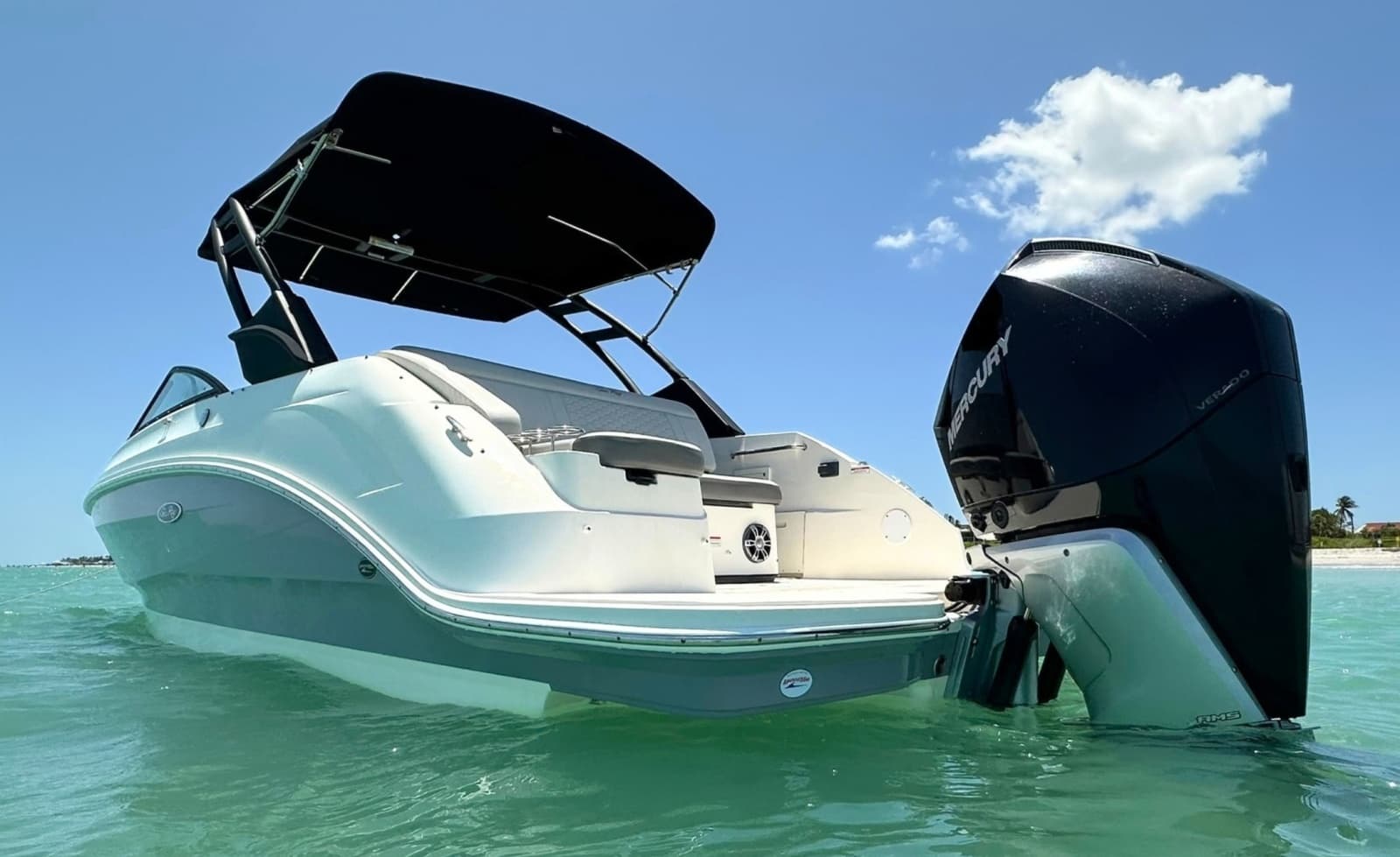 2021 Sea Ray 250SDX - Photo 6