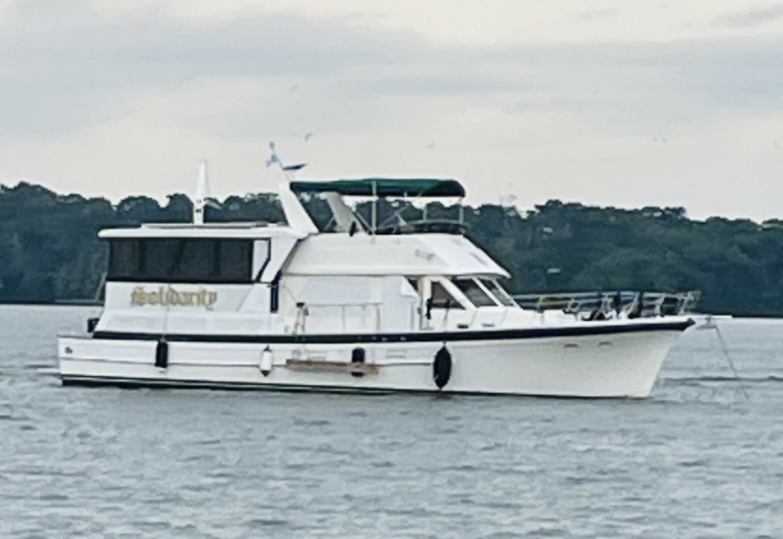 1989 Jefferson 52 Marquesa - Photo 3