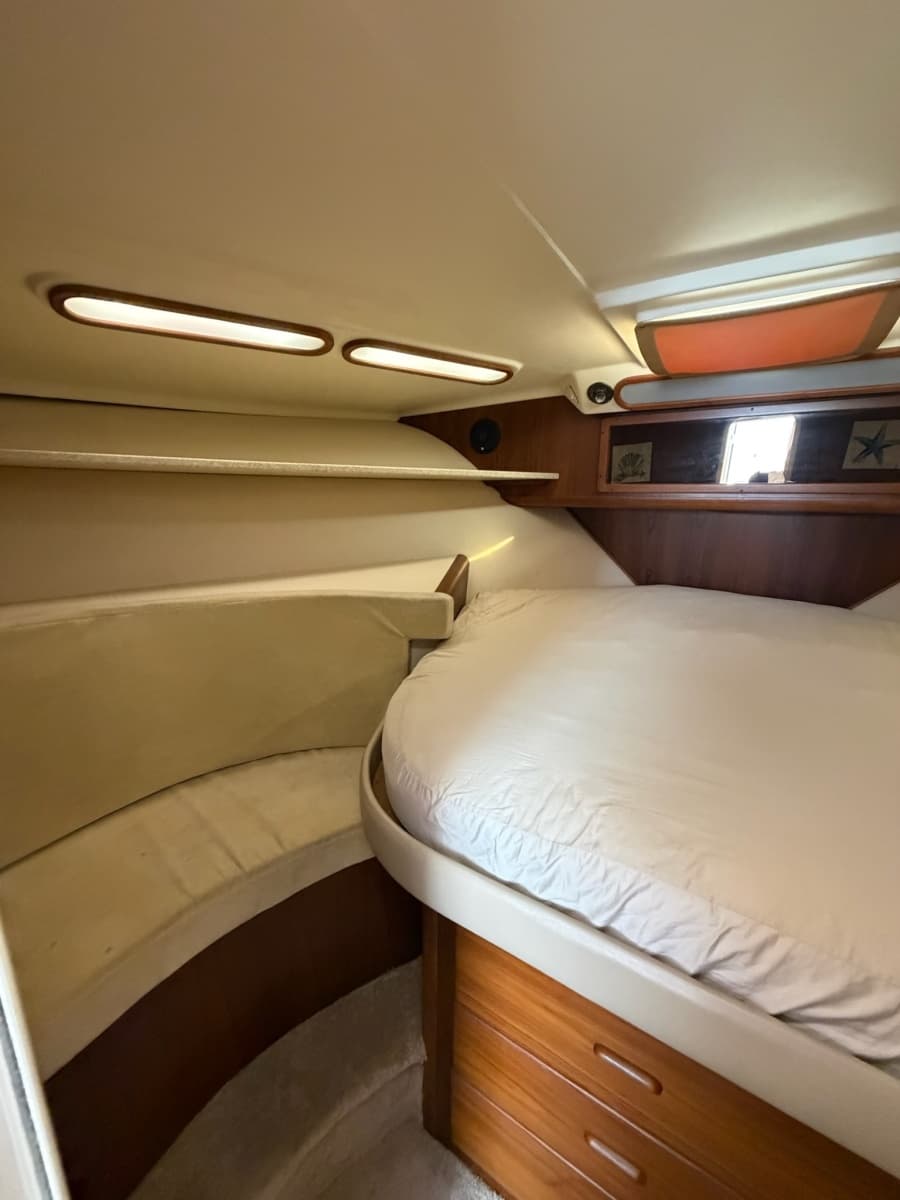 1998 Luhrs 40 Open - Photo 20