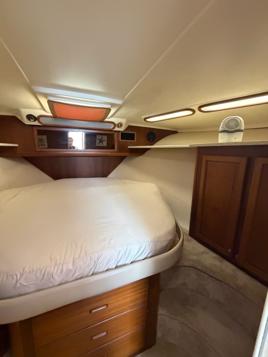1998 Luhrs 40 Open - Photo 22