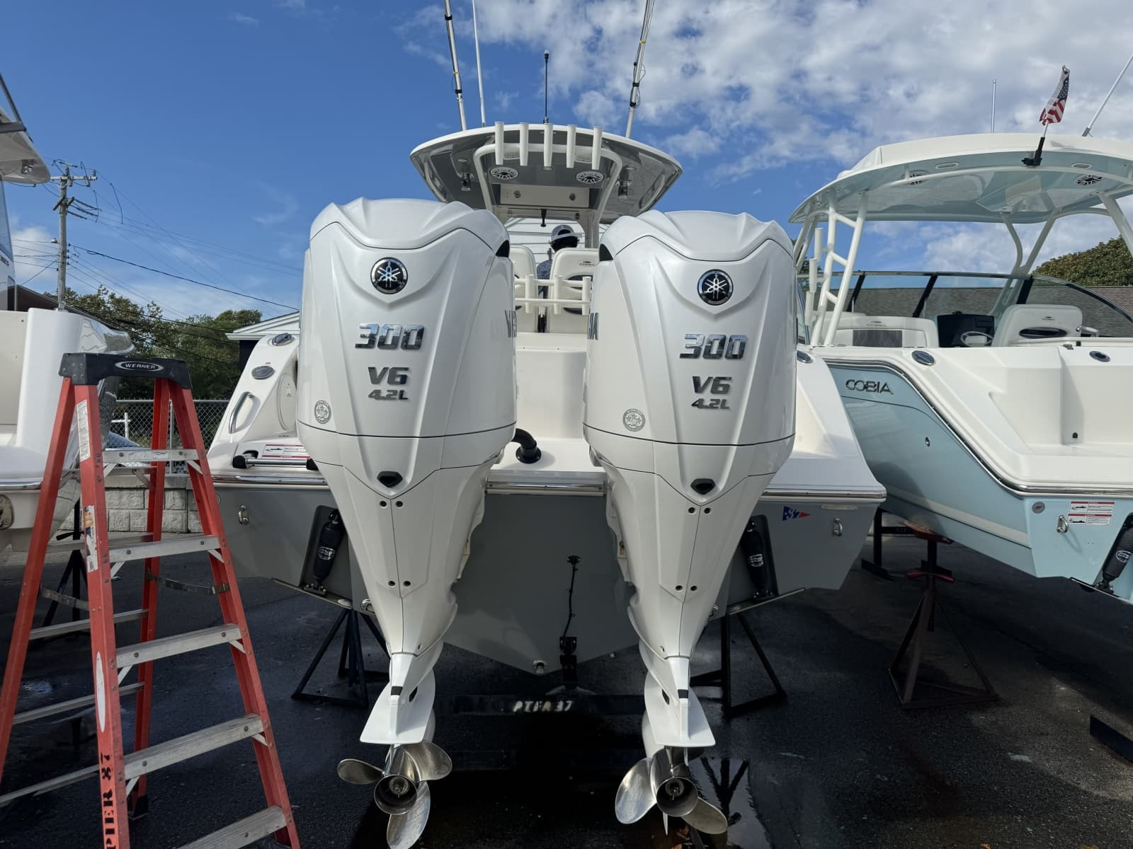 2024 Cobia  - Photo 4