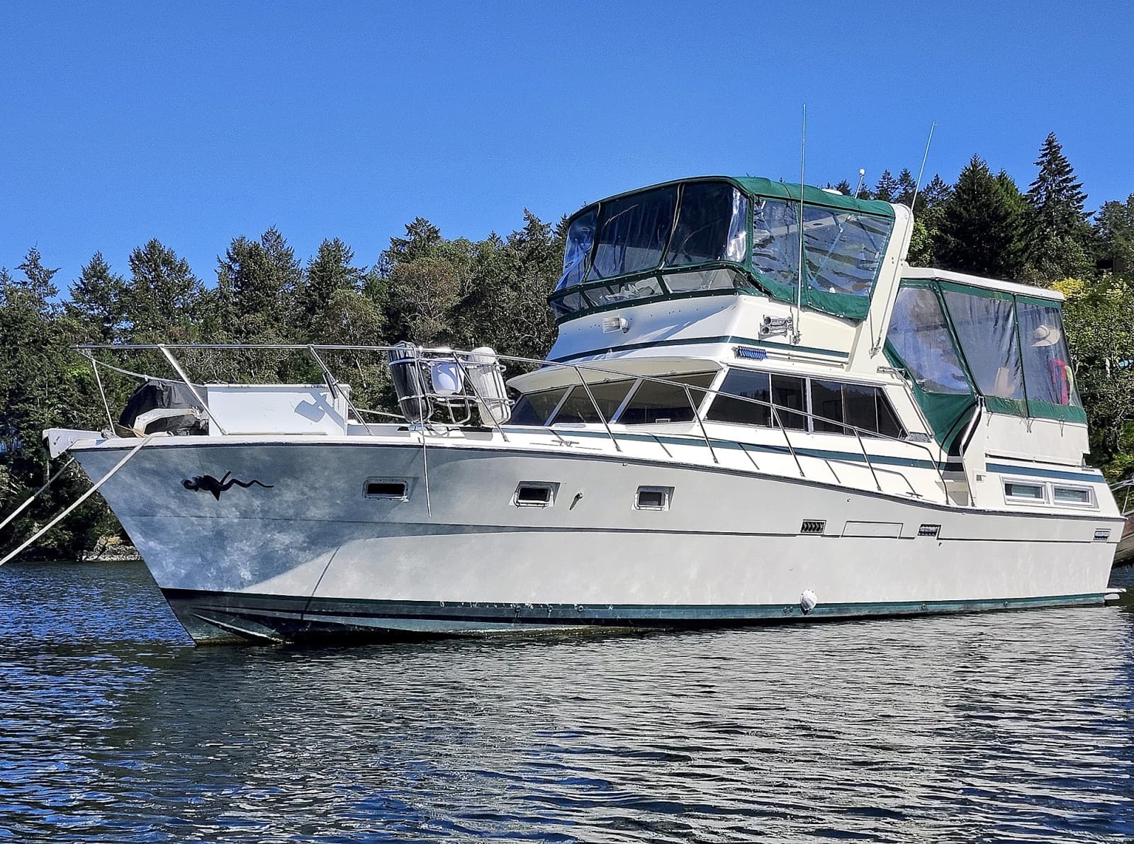 1977 Viking 43 DC - Photo 1