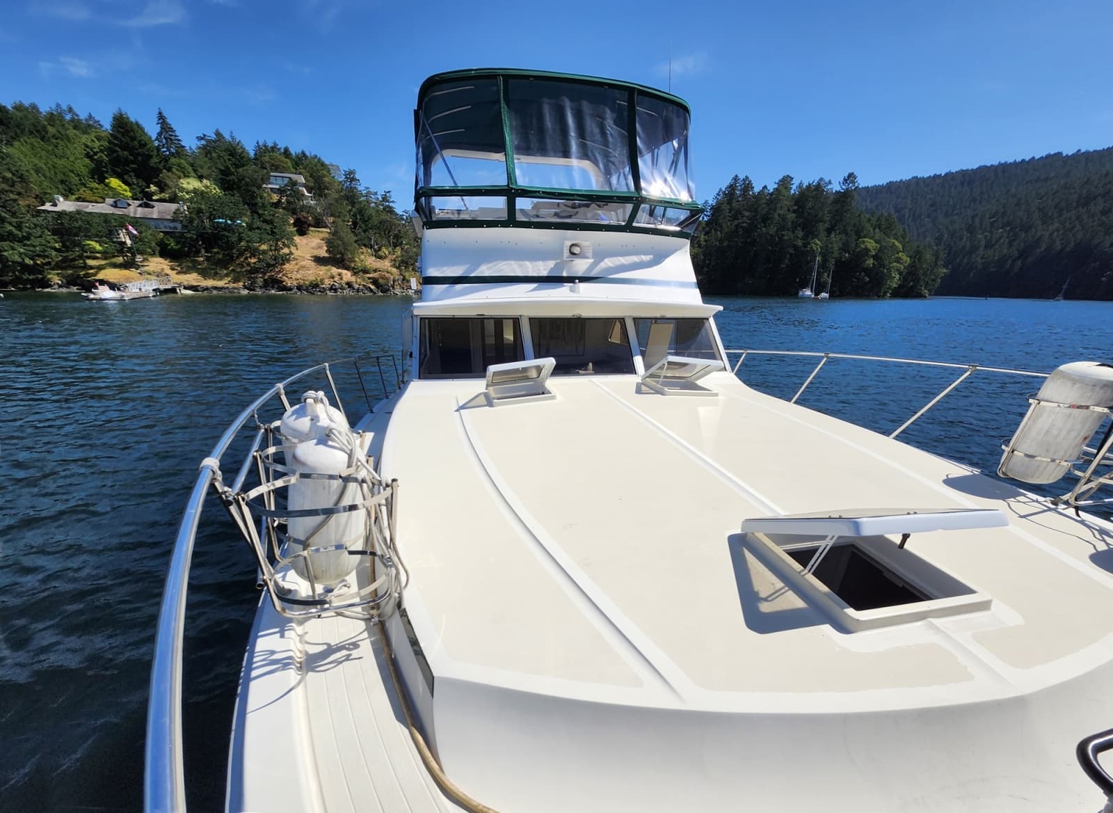 1977 Viking 43 DC - Photo 4