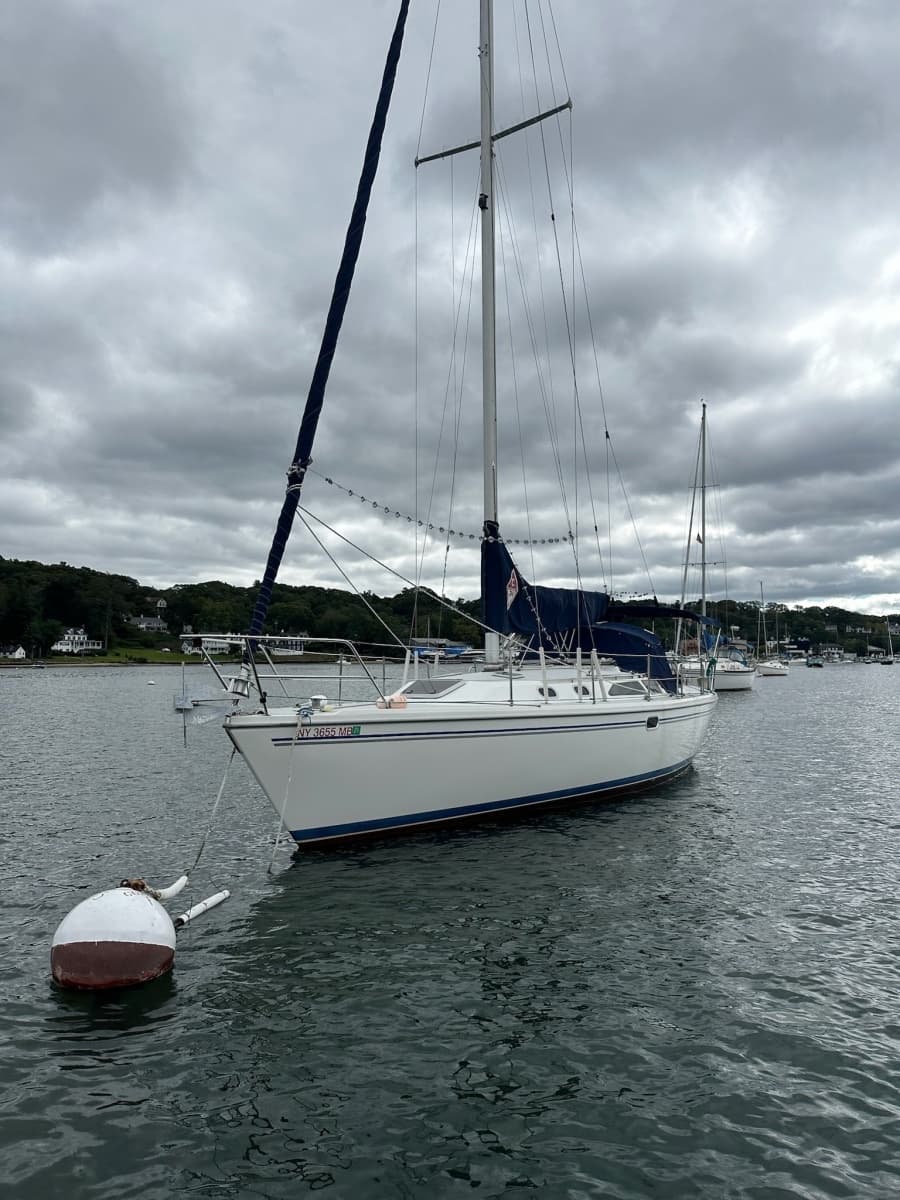 2004 Catalina 36 mkII - Photo 3