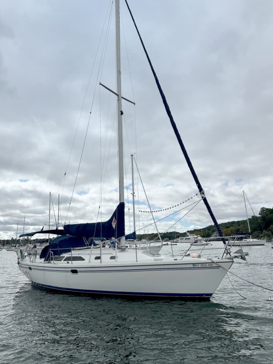 2004 Catalina 36 mkII - Photo 2
